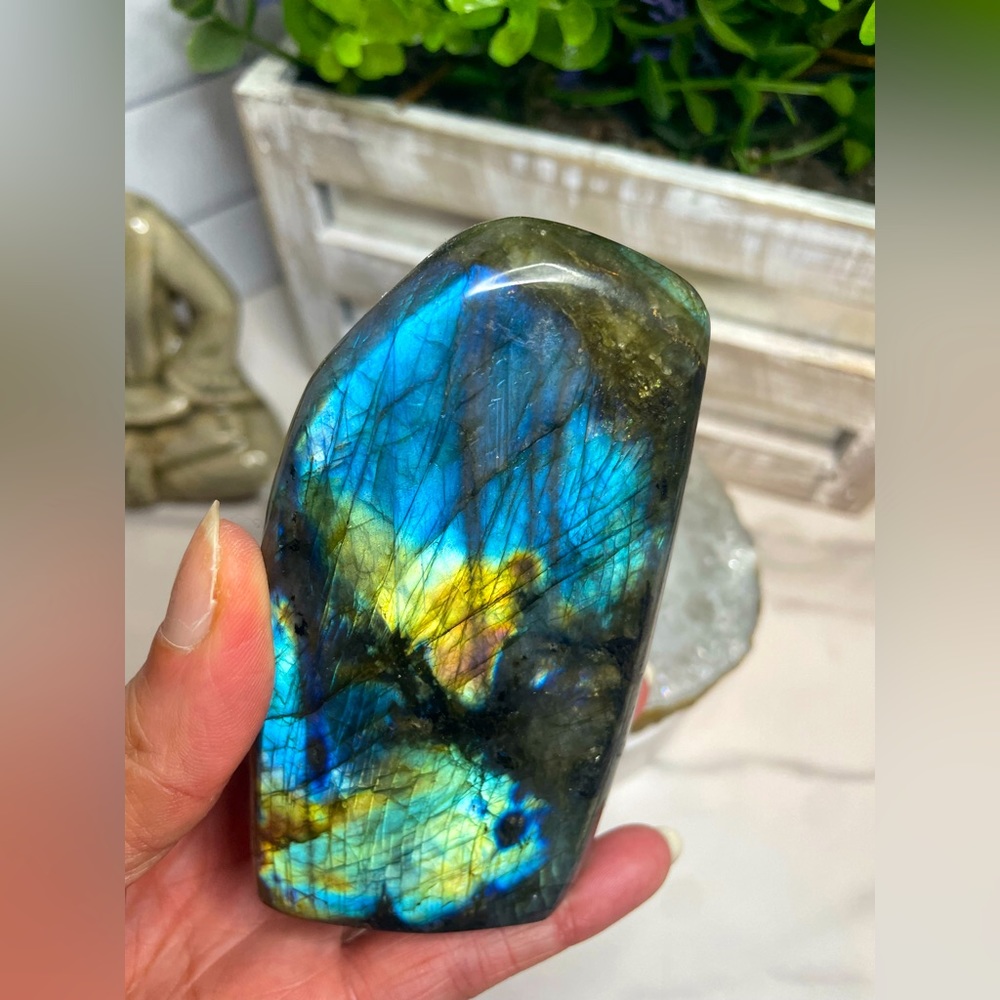 Labradorite Freeform - Madagascar 🇲🇬